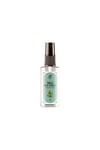 Rebul Pine Forest EDC 50 ML