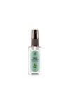 Rebul Pine Forest EDC 50 ML
