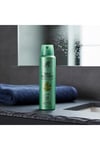Rebul Pine Forest Erkek Sprey Deodorant 150 ml