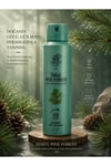 Rebul Pine Forest Erkek Sprey Deodorant 150 ml