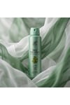 Rebul Pine Forest Erkek Sprey Deodorant 150 ml