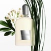Tom Ford Grey Vetiver EDP 100 ml Erkek Parfüm