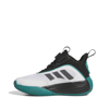 Adidas Ownthegame 3.0 Siyah Beyaz Renk SİYAH BEYAZ