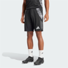 Adidas Tiro 24 Competition Antrenman Şortu Siyah Renk SİYAH
