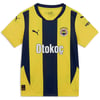 Fenerbahçe S.k. 24/25 İç Saha Forması 01 Renk 01
