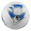 Nike Erkek Premier League Academy Top 105 Renk 105