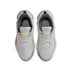 Nike Giannis Immortality 4 Gs 101 Renk 101