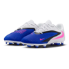 Nike Jr Phantom 6 Low Club Fg/mg 446 Renk 446