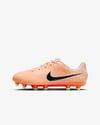 Nike Jr Tiempo Legend 10 Academy Fg/mg 800 Renk 800