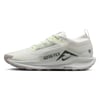 Nike Pegasus Trail 5 GorE-Tex 102 Renk 102
