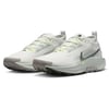 Nike Pegasus Trail 5 GorE-Tex 102 Renk 102