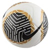 Nike Pitch Futbol Topu 102 Renk 102