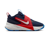 Nike Team Hustle D 12 (gs) 401 Renk 401
