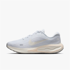 Nike W Journey Run 119 Renk 119