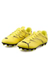 Puma Attacanto Fg/ag 02 Renk 02