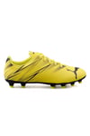 Puma Attacanto Fg/ag 02 Renk 02