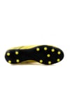 Puma Attacanto Fg/ag 02 Renk 02
