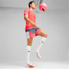 Puma Ultra Pro Fg/ag 01 Renk 01