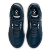 Zoom Lebron Nxxt Gen Ampd 400 Renk 400