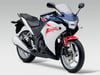 2011 Honda CBR 250 Hrc Sol Yan Grenaj Sticker Etiket Modeli