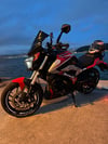 Bajaj Dominar 250D Orta Grenaj Sticker Etiket Model
