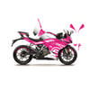 CFMOTO 250SR 