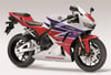 HONDA 600 RR Ön Kafa Grenaj Sticker Etiket Modeli