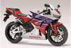 HONDA 600 RR Ön Kafa Grenaj Sticker Etiket Modeli