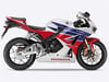 HONDA 600 RR Sol Depo Grenaj Sticker Etiket Modeli