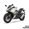RKSRKS R250 Orjinal Tasarım Sticker Etiket Modeli Sol Grenaj Sticker