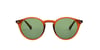 Looklight Güneş Gözlüğü Letoon Small Jelly Brown Green (LL339)_LL2210 / 02 / G15