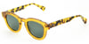 Looklight Güneş Gözlüğü Pinus Daisy Amber Green (LL501)_90.LL8009 / B75 / G15