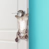 Mustard Notluk Asılabilir Kedi_M16200A