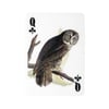 Kikkerland 3-D Bird playing cards-3-D Kuş Temalı Oyun Kartı_GG113