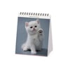 Legami 2025 Masa Takvimi Dikey Kittens_CAL250142