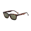 Parafina Güneş Gözlüğü Eco HDPE Peninsula Tortoise Green_PEN-TRT-PGN