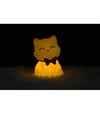 Dhink Silikon Gece Lambası Kedi Tosh Beyaz_DHINK434-01