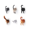 Kikkerland Cat Butt Magnets-Magnet Kedi Poposu_MG53