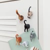 Kikkerland Cat Butt Magnets-Magnet Kedi Poposu_MG53
