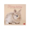 Legami 2025 Duvar Takvimi Honey Bunny_CAL250006