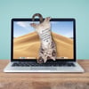 Mustard Notluk Asılabilir Kedi_M16200A