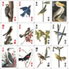 Kikkerland 3-D Bird playing cards-3-D Kuş Temalı Oyun Kartı_GG113
