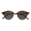 Parafina Güneş Gözlüğü Hybrid Metal Viento Tortoise Green_VIE-TRT-PGN