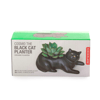 Kikkerland Cosmo the Black Cat Planter-Saksı Siyah Kedi_PL14