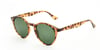 Looklight Güneş Gözlüğü Letoon Amber (LL242)_LL2200 / 41 / G-15