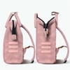 Cabaia Sırt Çantası Adventurer Medium Male Pink_CMEDMALE