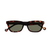 Parafina Güneş Gözlüğü Eco HDPE Peninsula Tortoise Green_PEN-TRT-PGN