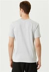 Champion Tshirt Harward Gri_101760471_038