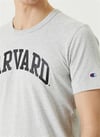 Champion Tshirt Harward Gri_101760471_038