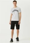Champion Tshirt Harward Gri_101760471_038